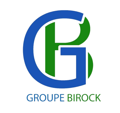 Logo groupe birock
